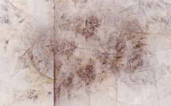 2014 05 11 Counting the Cost 019-white.jpg